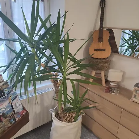 דירה Les Du Frankenthal