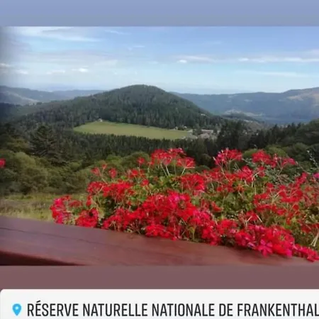 Les Du Frankenthal Stosswihr