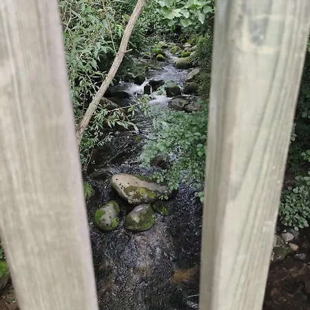 דירה Les Du Frankenthal