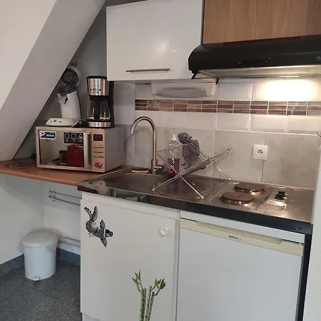 Les Du Frankenthal Apartament