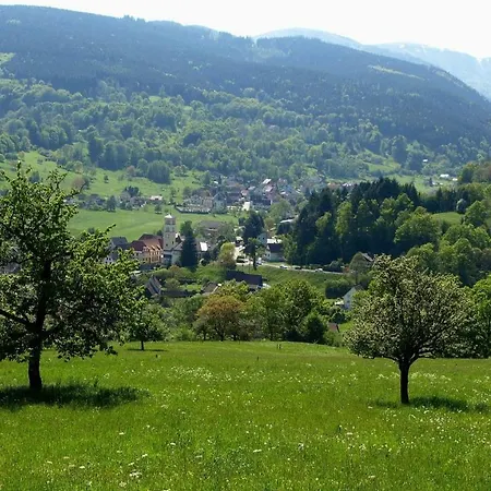 Apartament Les Du Frankenthal Stosswihr